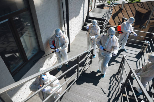 Best Forensic Mold Investigation  in North Westport, MA
