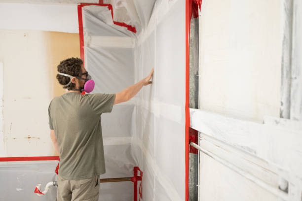 Best Attic Mold Removal  in North Westport, MA